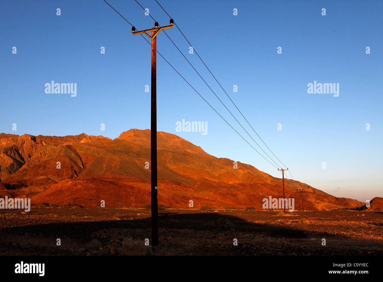 Telefonleitungen laufen durch die Wüste. Stockfoto