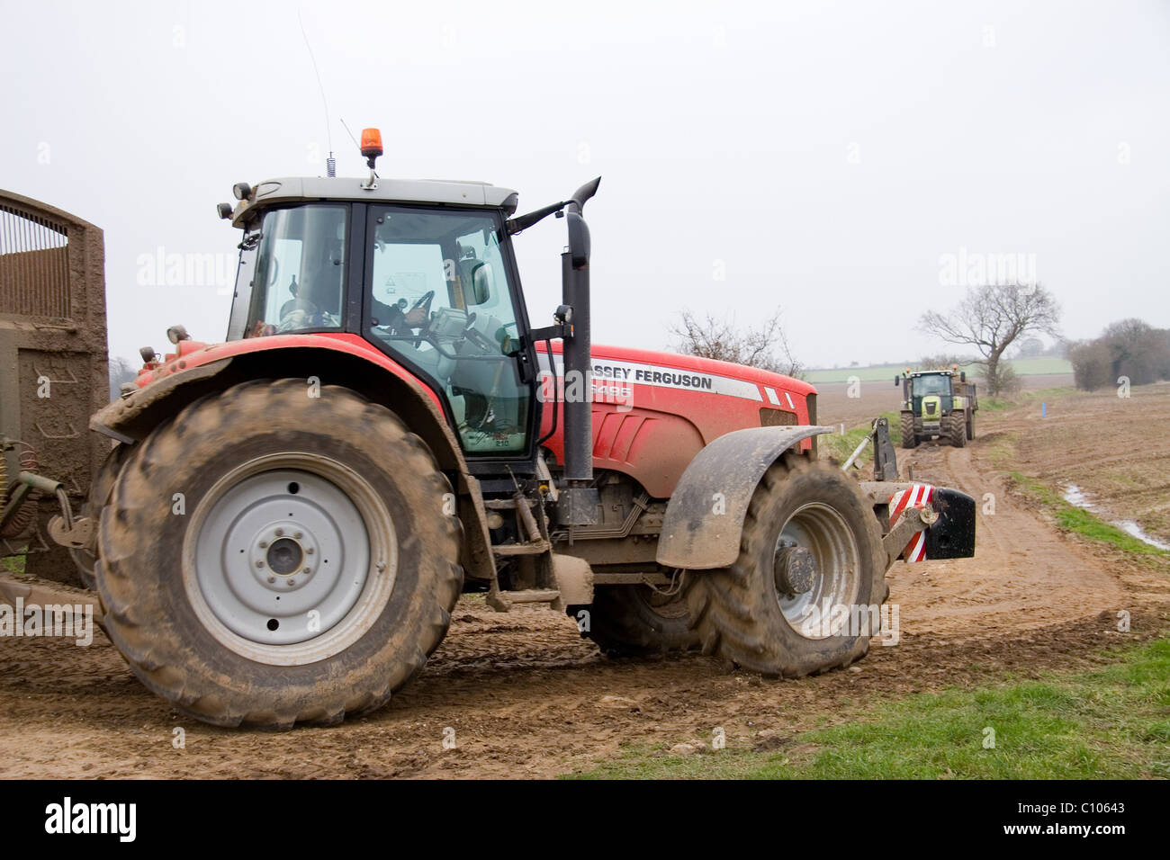 Traktor Massey Ferguson 6495 Dyna 6 & Bailey Beeteaper Anhänger Kart Zuckerrüben in North Norfolk UK im Jahr 2011 Stockfoto