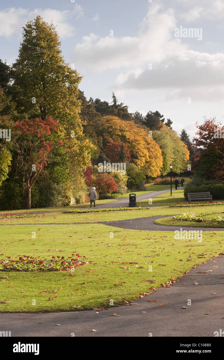 Schöne städtische angelegten Park im Herbst mit leuchtend bunte Blätter an den Bäumen, & Menschen entspannend - Valley Gardens, Harrogate, Yorkshire, England. Stockfoto