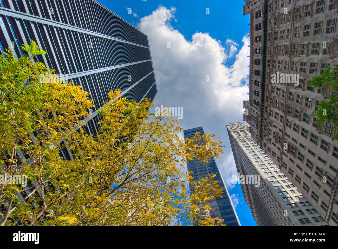 Detail von New York City im August Stockfoto