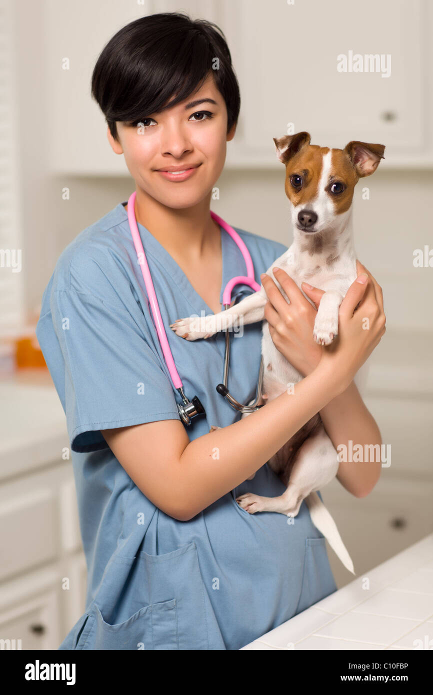 Lächelnd attraktive gemischte Rennen Tierarzt Arzt oder Krankenschwester mit Welpen in einem Büro oder Labor. Stockfoto