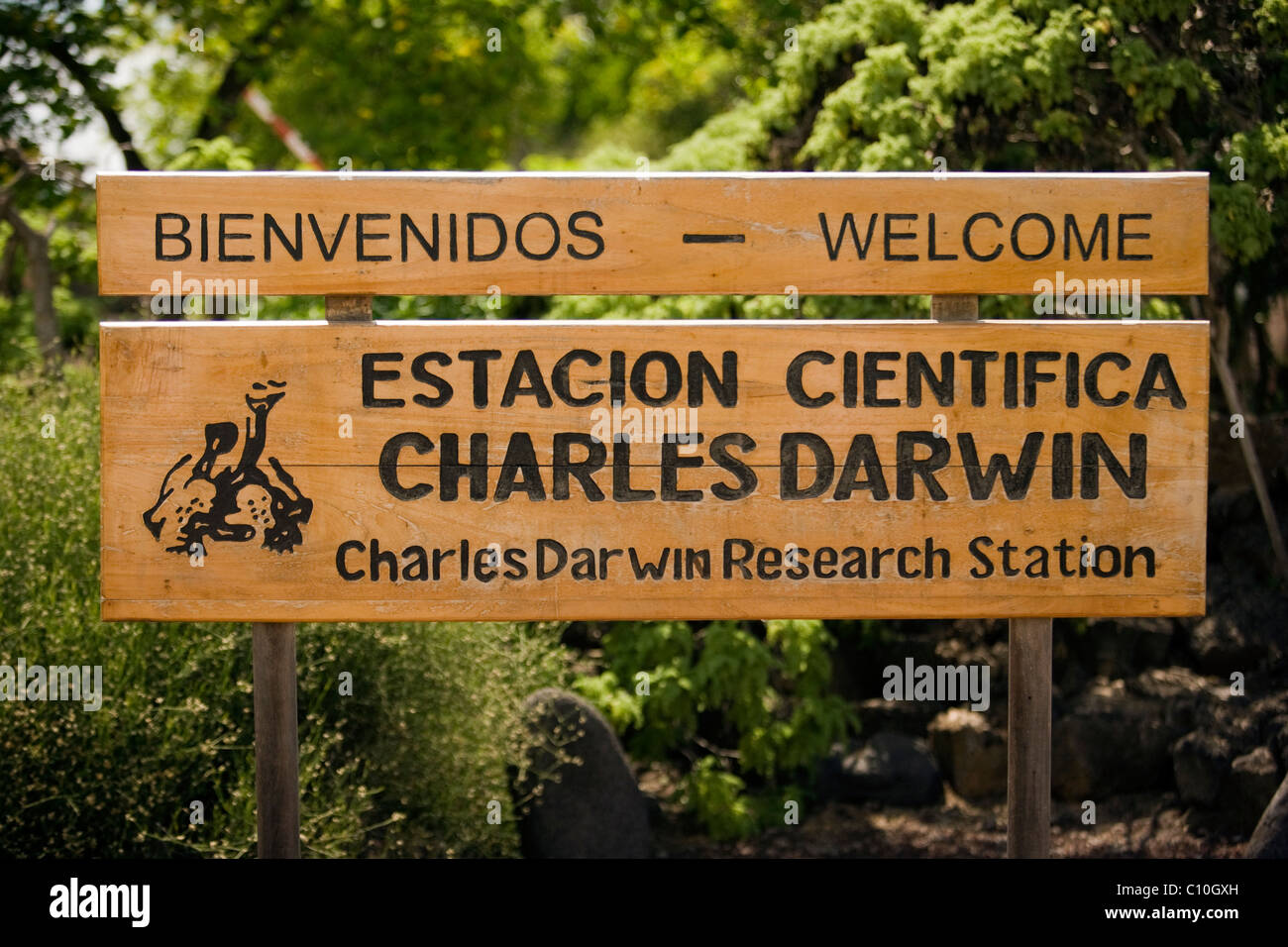 Willkommen Sie Schild - Charles Darwin Research Station - Santa Cruz Island, Galapagos-Inseln, Ecuador Stockfoto