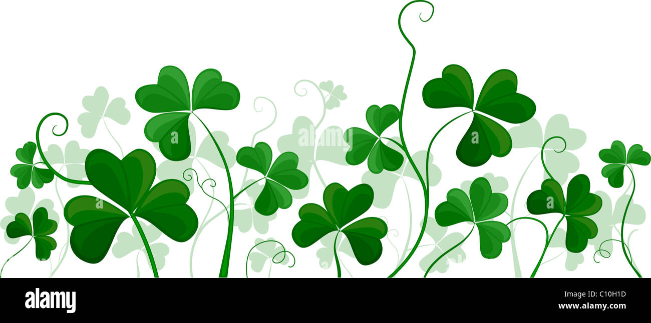 Abbildung eines Clusters Kleeblätter vor einem weißen Hintergrund Stockfoto