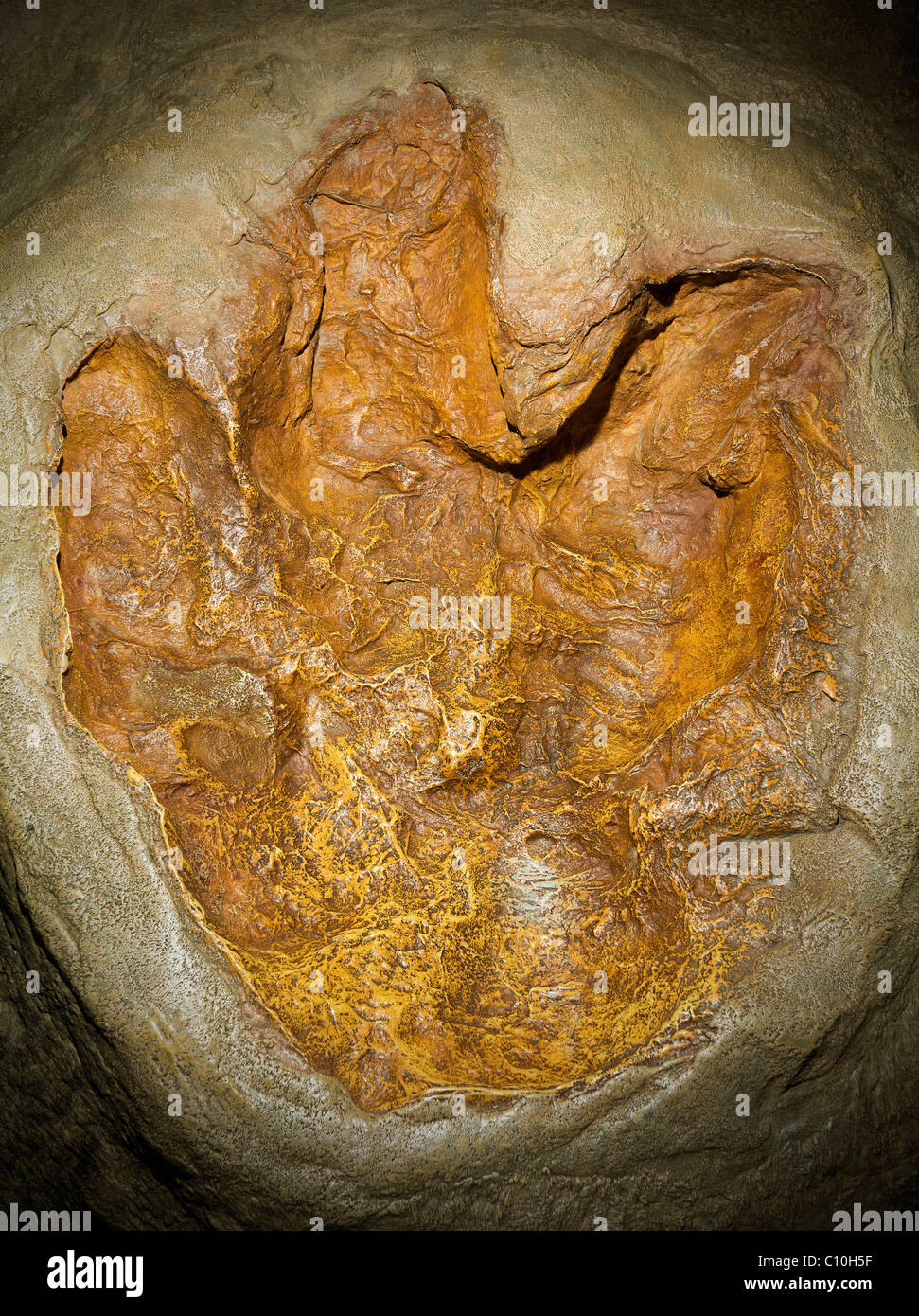 Fossil-Fußabdruck eines Dinosauriers. Stockfoto