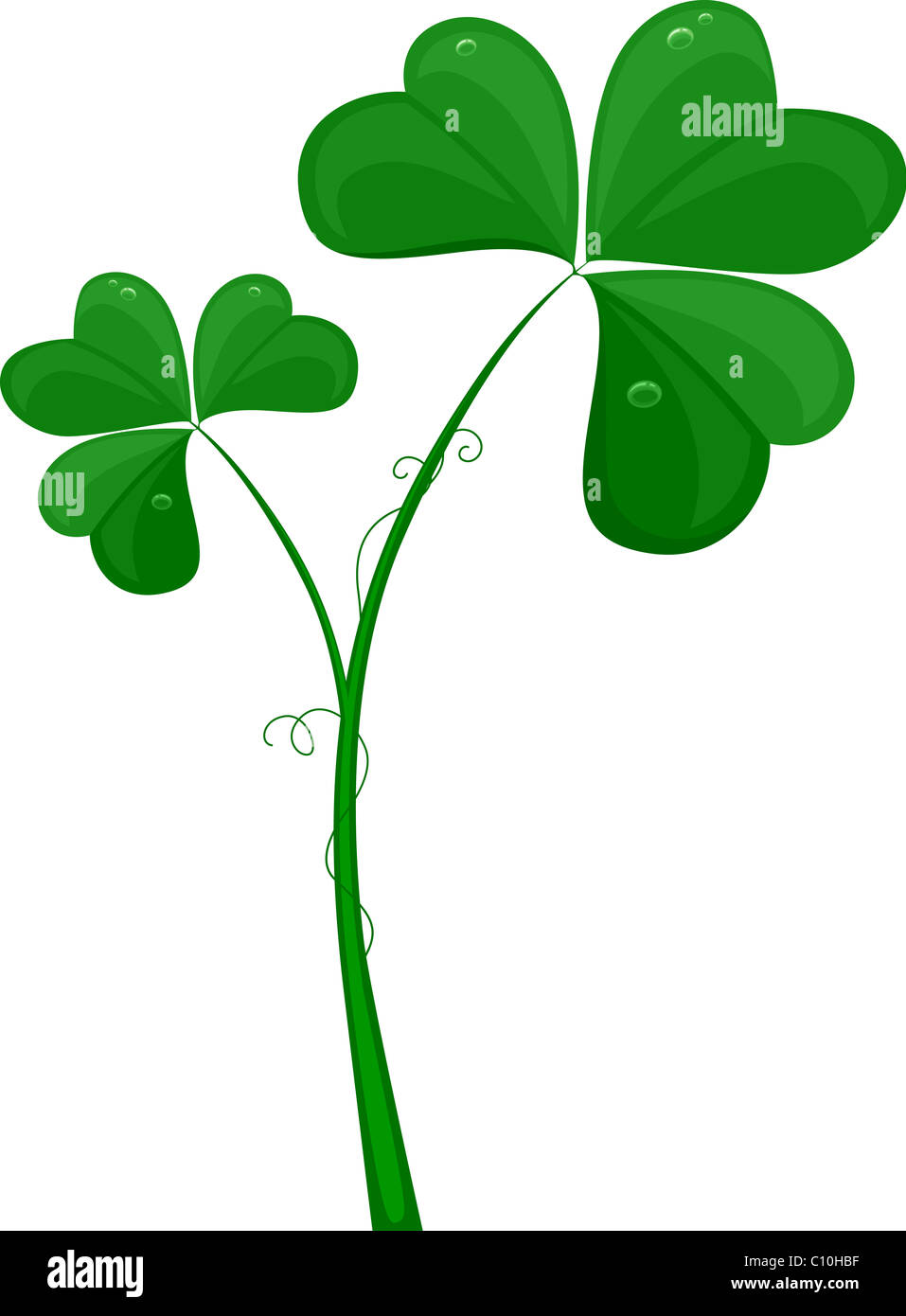 Illustration der großen Kleeblätter vor einem weißen Hintergrund Stockfoto