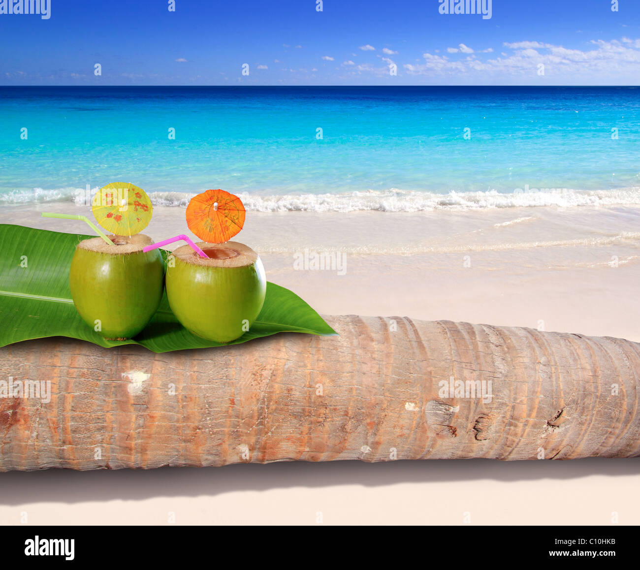 Kokos-Cocktails auf Palm Baumstamm in türkisfarbenen karibischen Strand Stockfoto