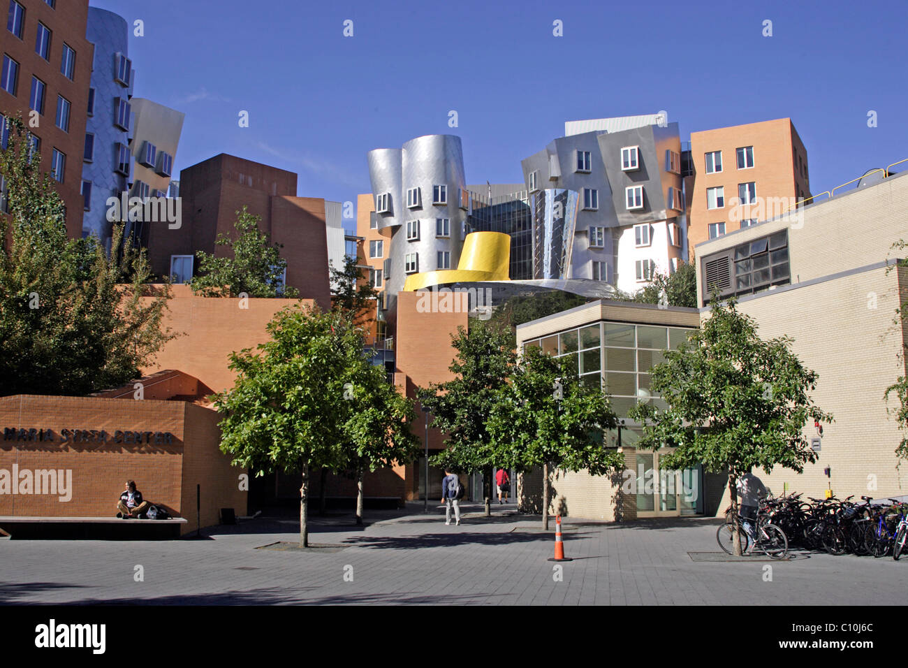Ray und Maria Stata Center, Architekt Frank Gehry, MIT, Massachusetts Institute of Technology, Cambridge, New England, USA Stockfoto