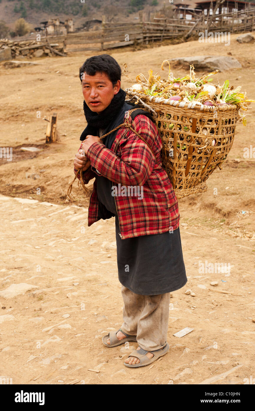 Ländliche Bhutan Bauer mit einer Ernte von Pastinaken auf dem Rücken im Hochland von Bhutan Stockfoto