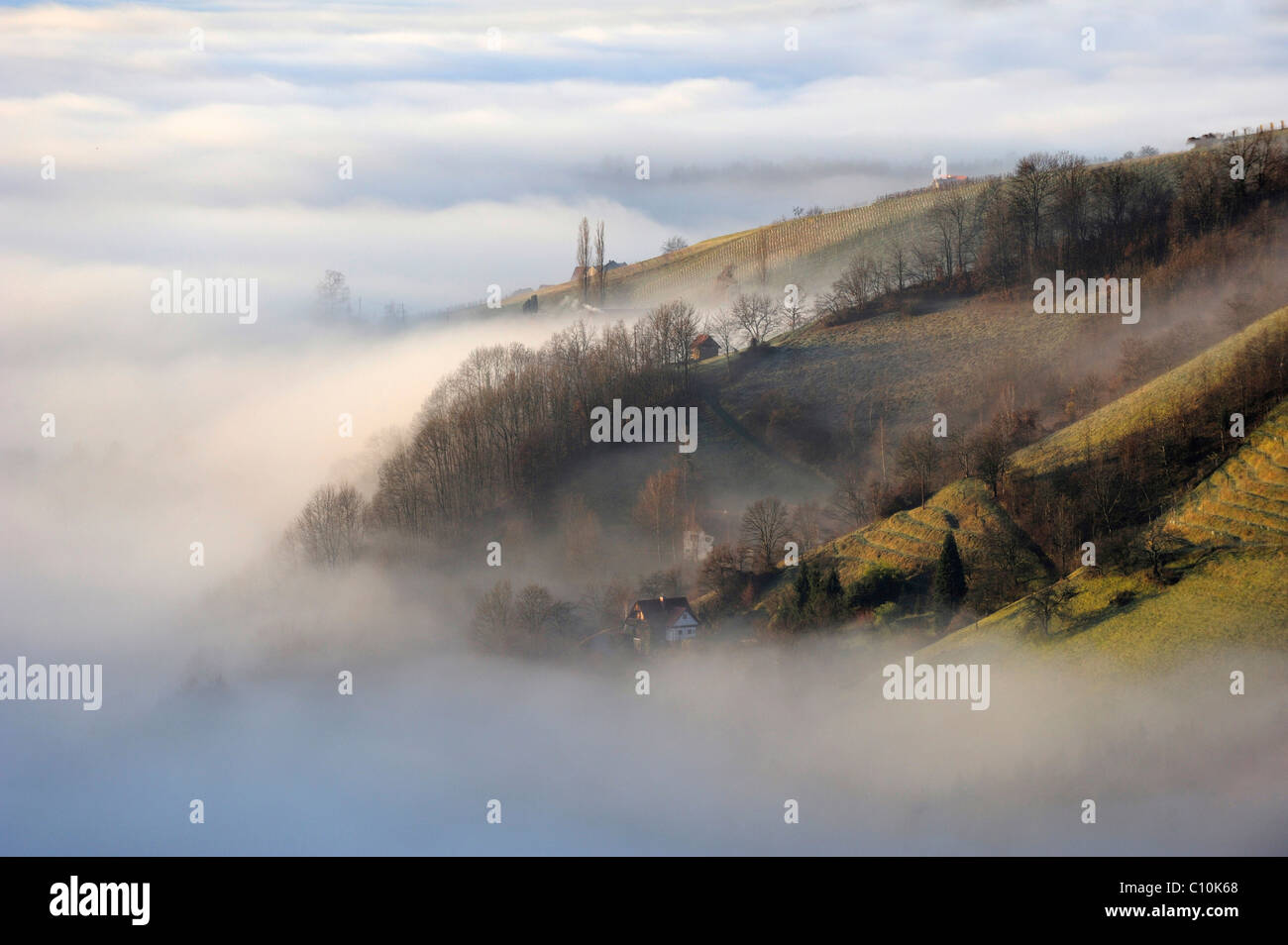 Steigender Nebel in den Bergen, Kitzeck Im Sausal, Steiermark, Austria, Europe Stockfoto