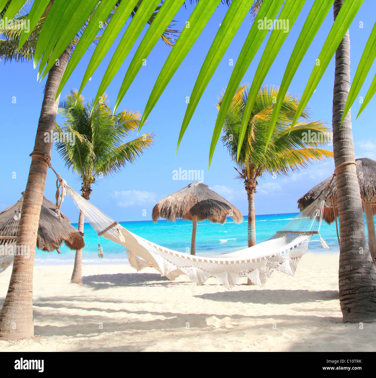 Karibik-Strand Hängematte und Palmen Bäume im Mayan Riviera-Mexiko Stockfoto