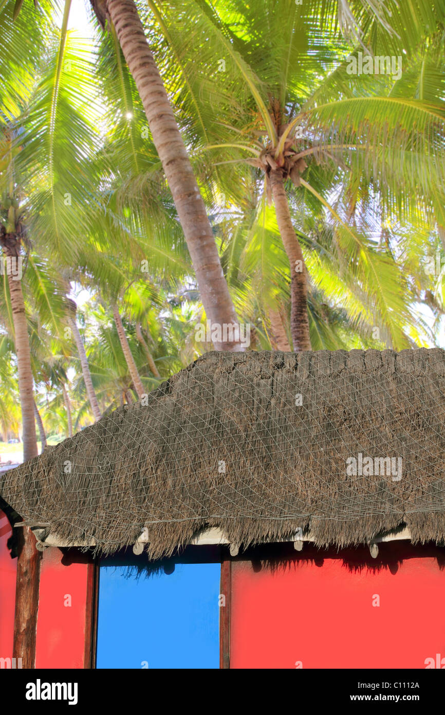 Karibische Hütte rote bunte Haus Kokospalme Bäume Hintergrund Stockfoto