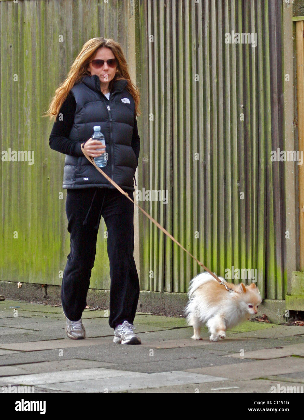 Geri Halliwell nimmt ihren Hund spazieren, London, England - 20.02.09 Stockfoto
