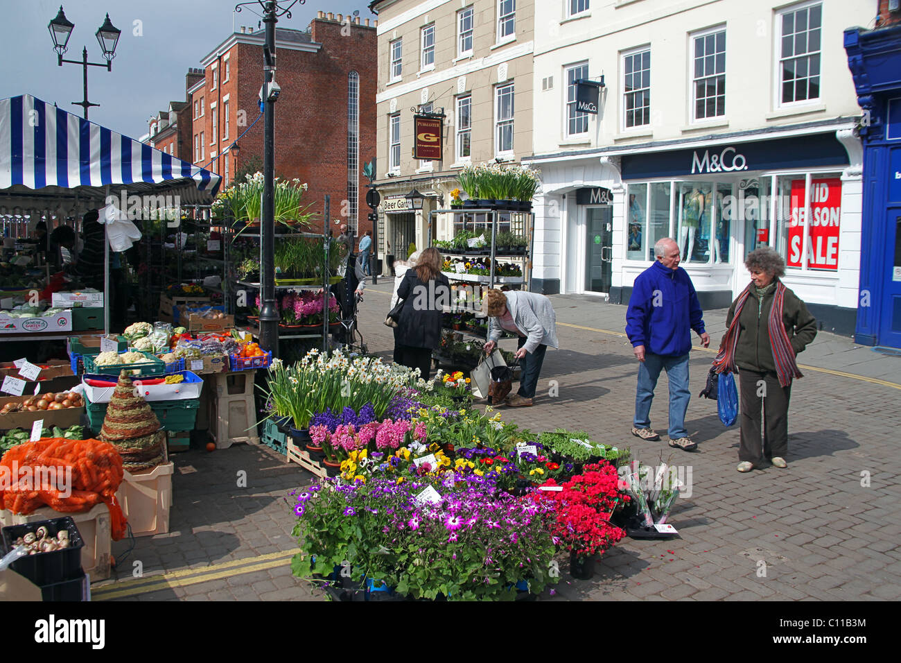 Eine bunte Blume Stand am Markttag auf dem Marktplatz in Ludlow, Shropshire, England, UK Stockfoto