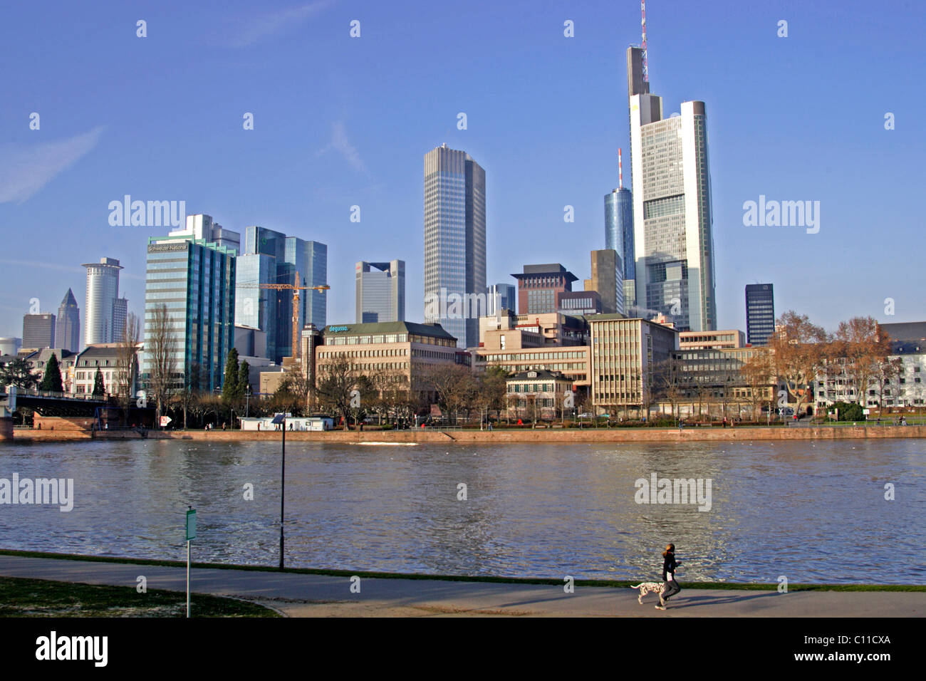 Skyline, Mainufer, Frankfurt, Hessen, Deutschland, Europa Stockfoto