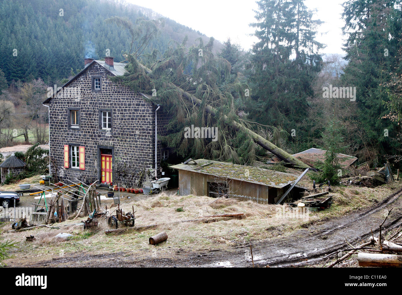 Altes Haus in Nettetal-Tal, das von einem fallenden Baum, während der Passage der Orkan Xynthia, Mayen getroffen wurde Stockfoto