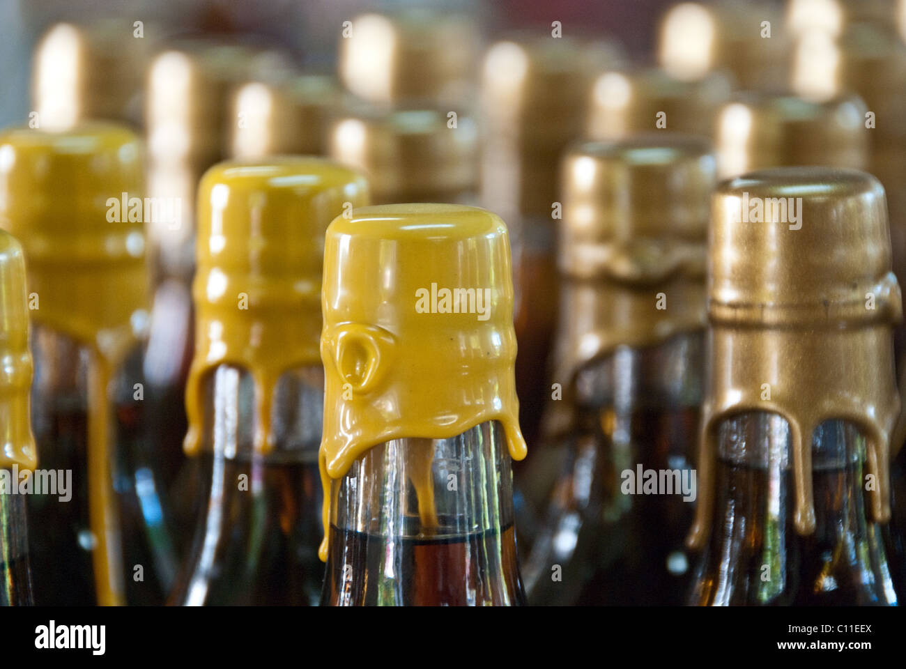 Weinflaschen in St. Thomas, Amerikanische Jungferninseln Stockfoto