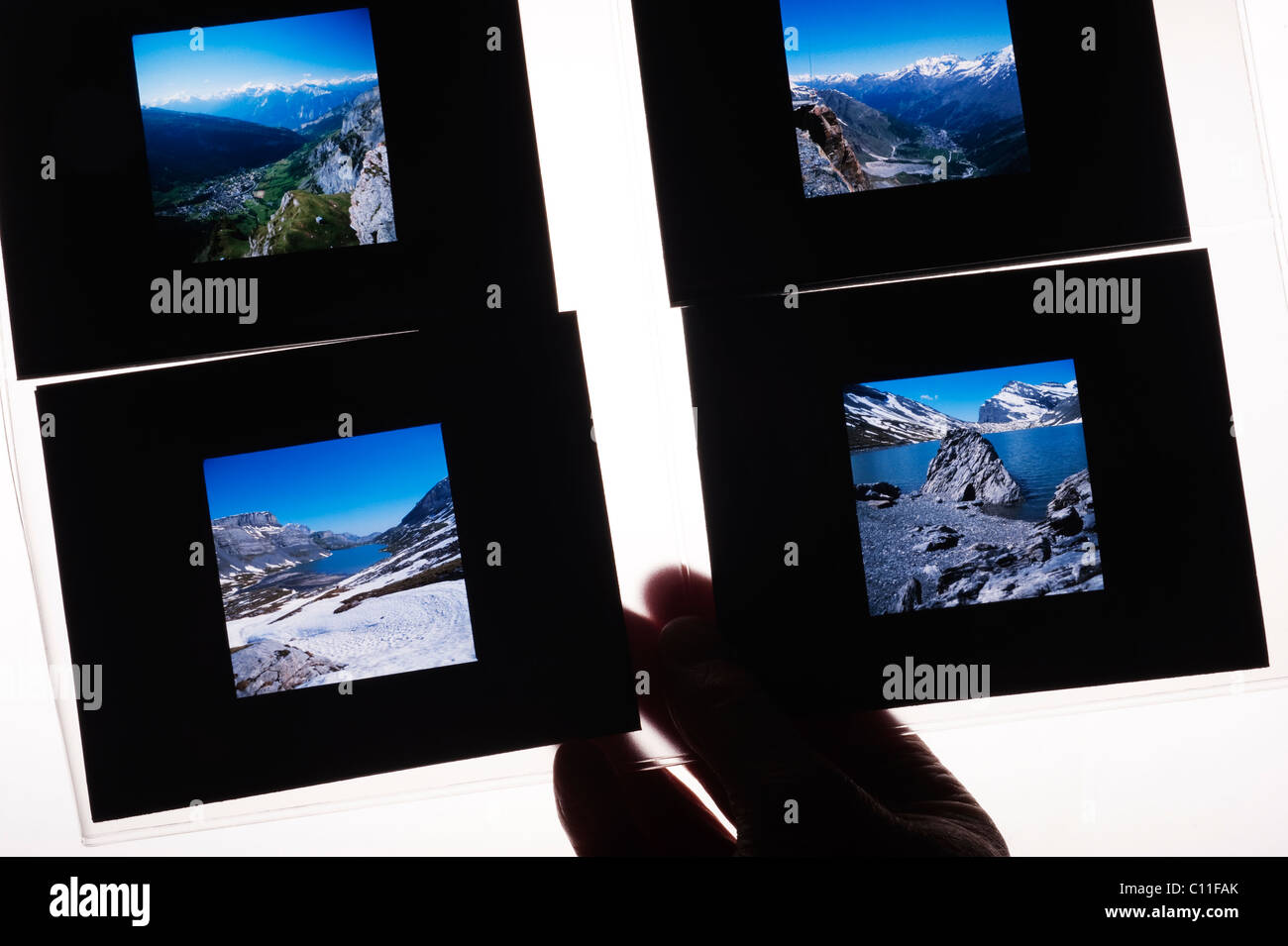 Bild-Editor untersuchen eine Auswahl an quadratischen Mittelformat-Dias in einer transparenten Folie gegen einen Leuchtkasten aufgehalten Stockfoto