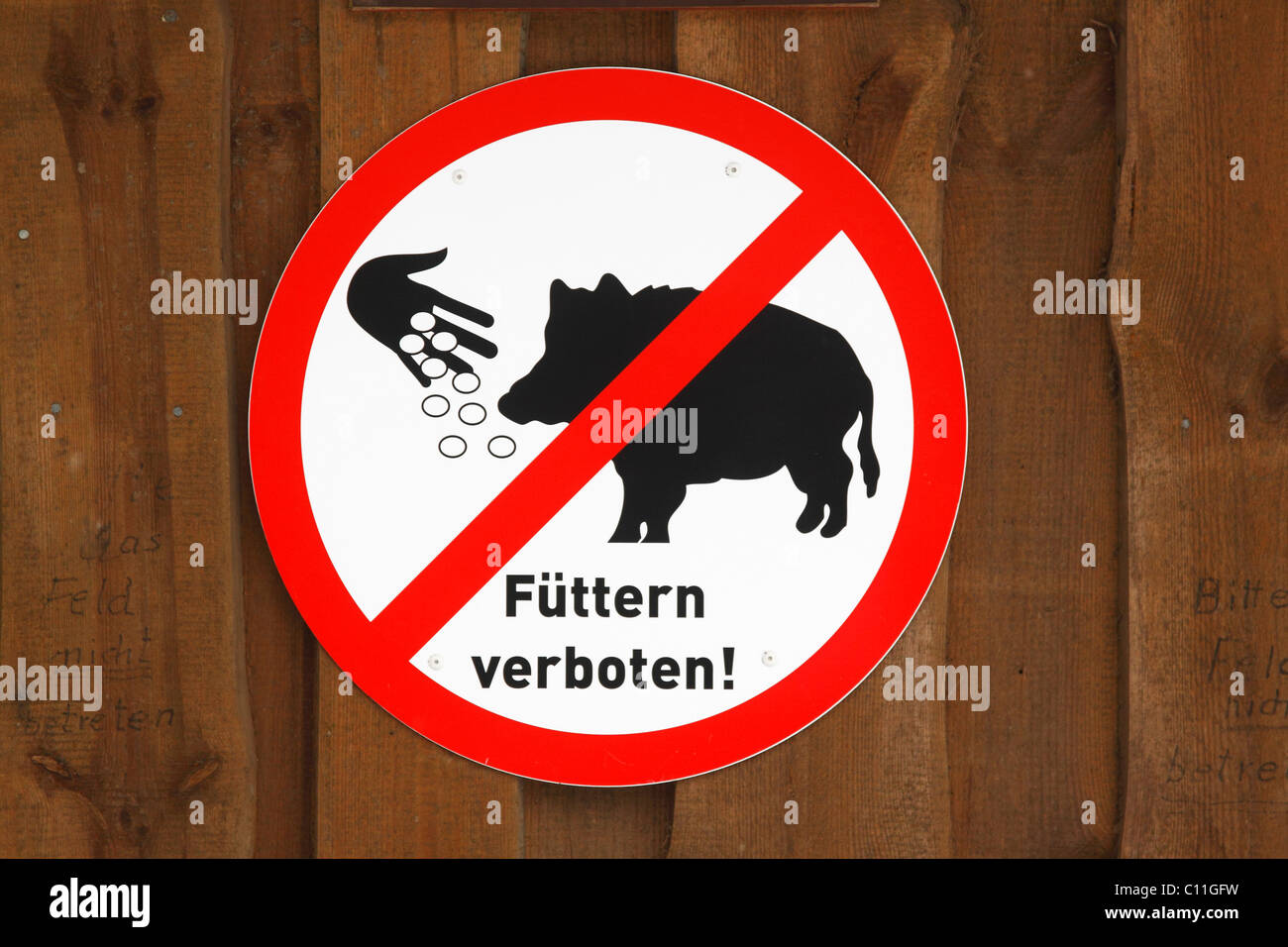 Keine Fütterung Wildschweine, Verbotszeichen Stockfoto