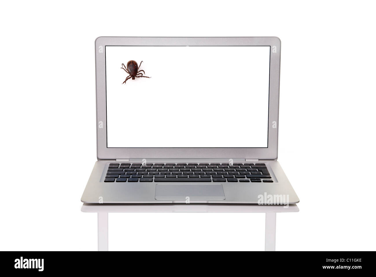Laptop mit einem Häkchen, symbolisch für Computer-Viren Stockfoto
