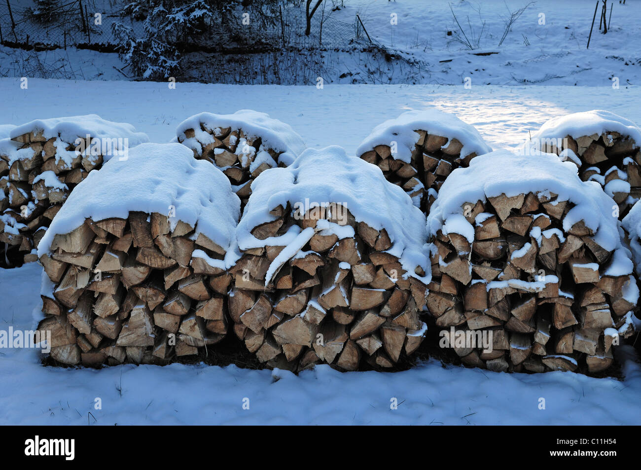 Schneebedeckte Holzhaufen, Eckental, Middle Franconia, Bayern, Deutschland, Europa Stockfoto