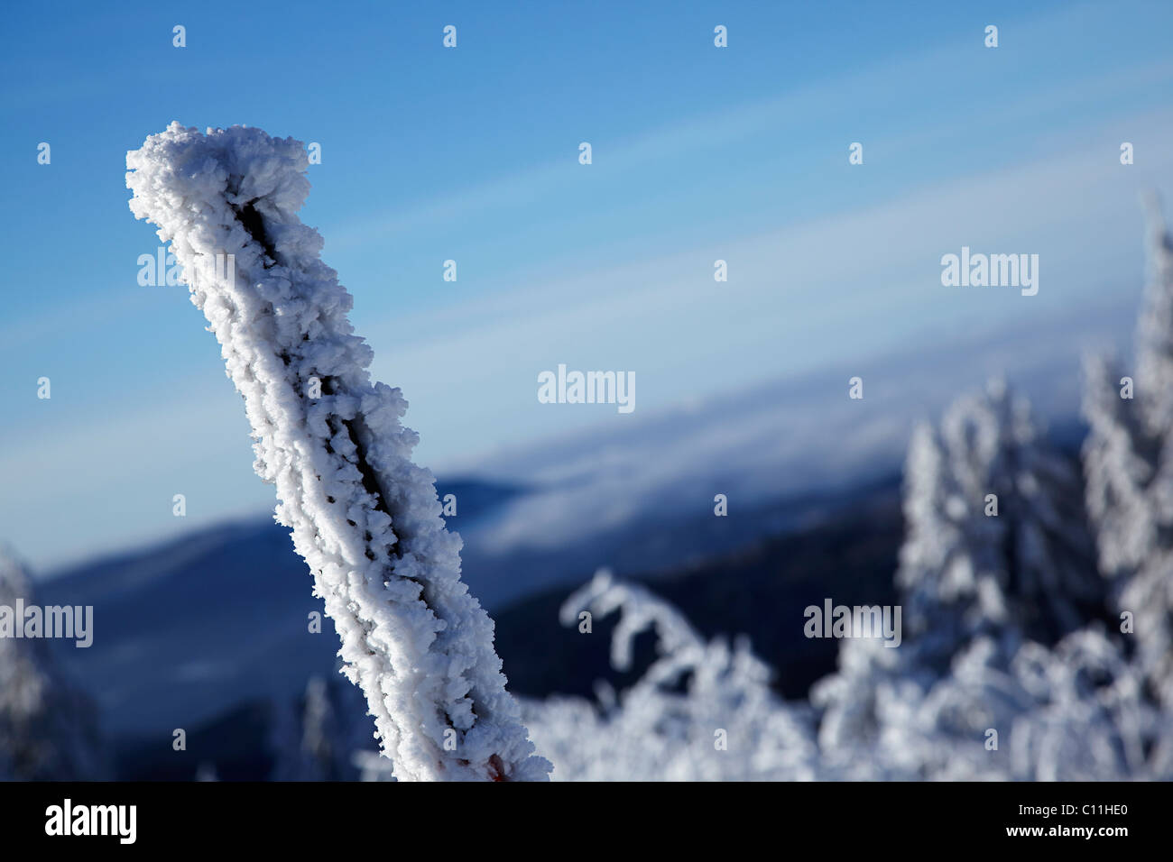 Verschneite Marker Post vor Bergpanorama, winter, Schwarzwald, Baden-Württemberg, Deutschland, Europa Stockfoto