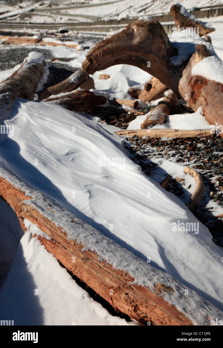 schneebedeckte Felsen und Treibholz am Strand Stockfoto