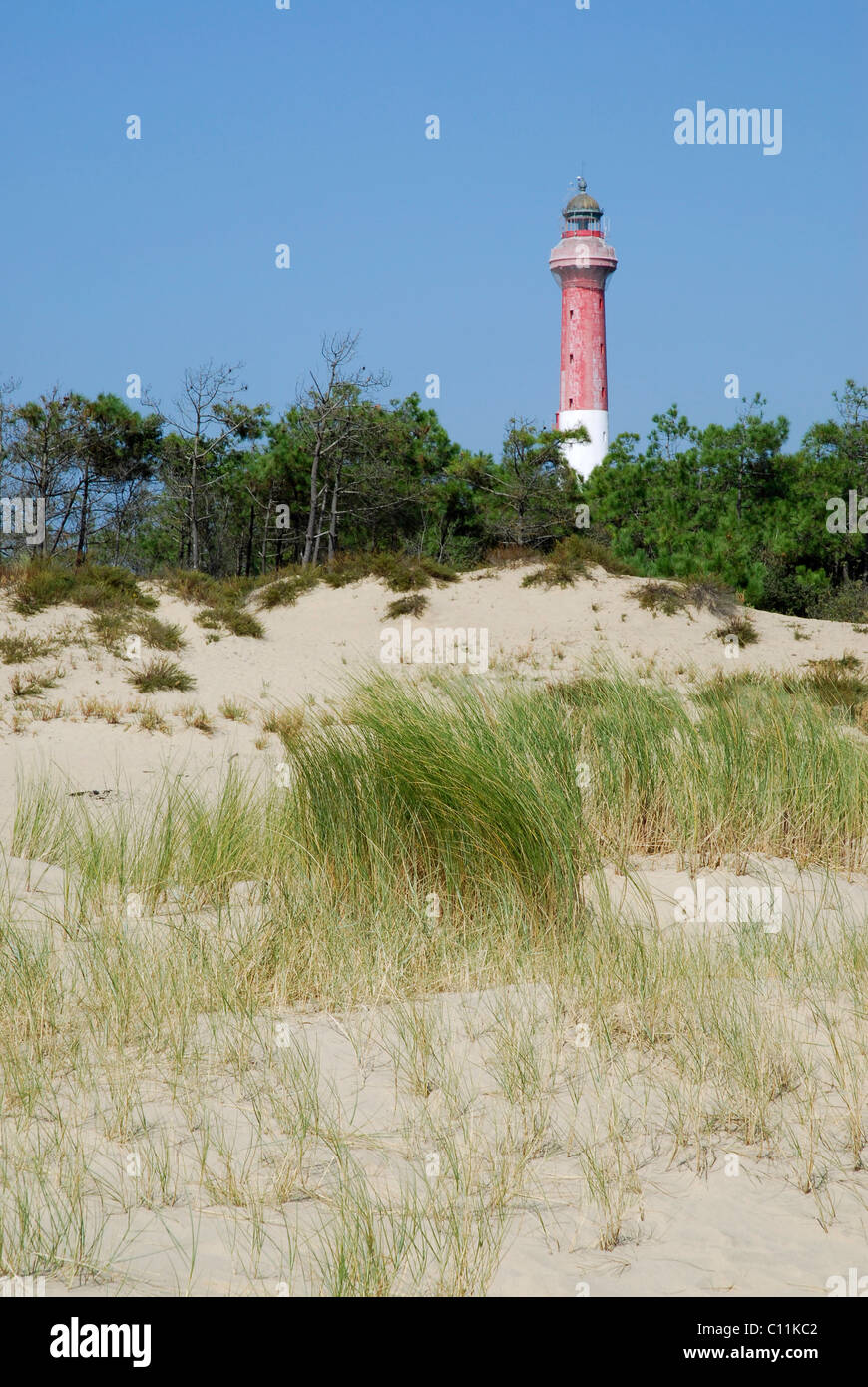 Leuchtturm an der Küste von La Coubre in Frankreich unter den Dünen, Region Poitou-Charentes Stockfoto
