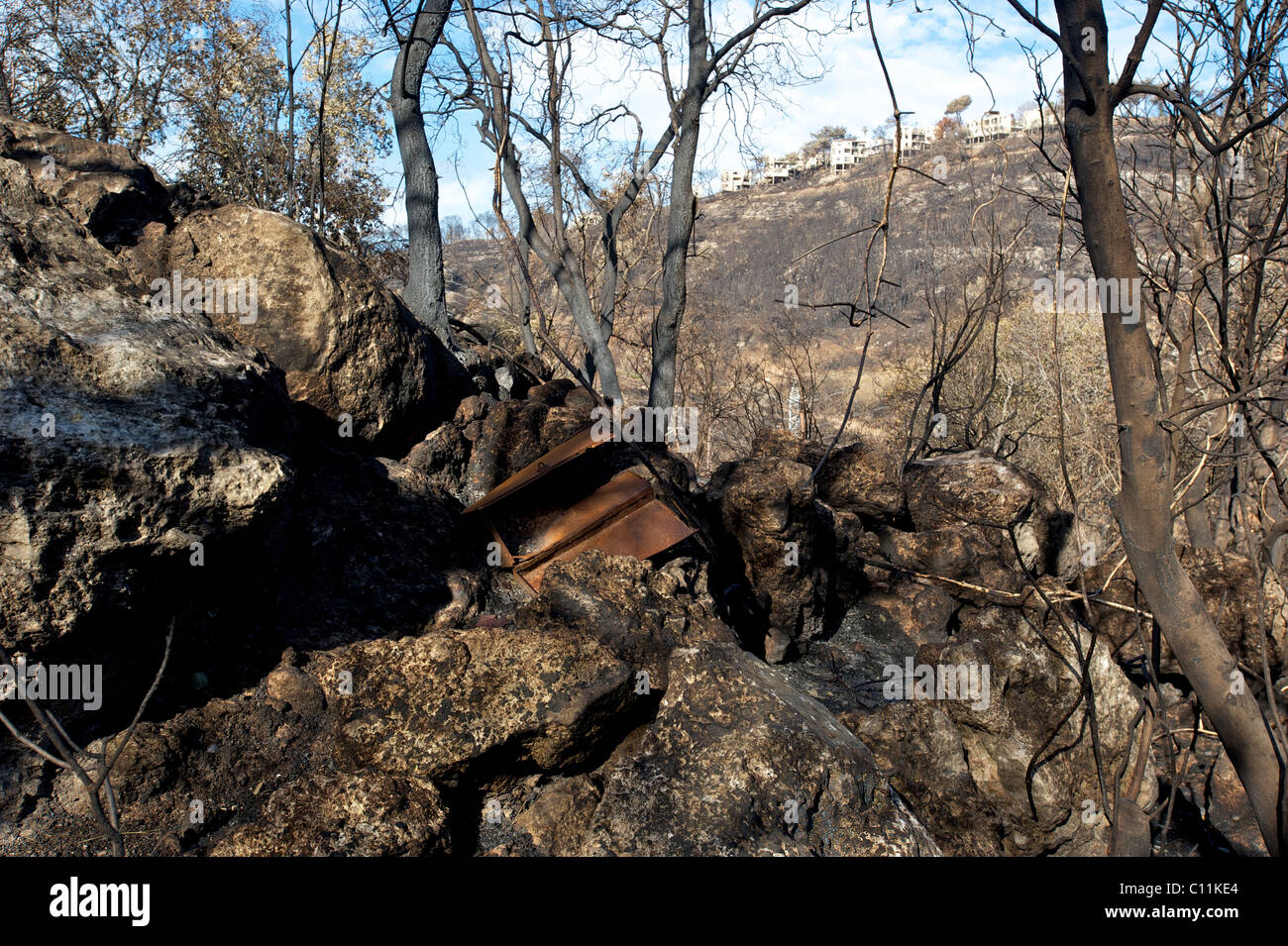 Eine rustikale Barock in den Karmel-Wald nach dem großen Brand am Januar, Haifa, Israel. Stockfoto