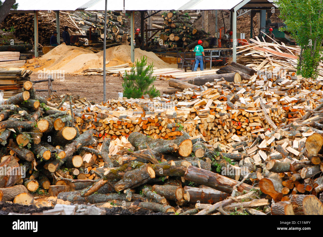 Brennholz, Bio-Bio Region, Chile, Südamerika Stockfoto