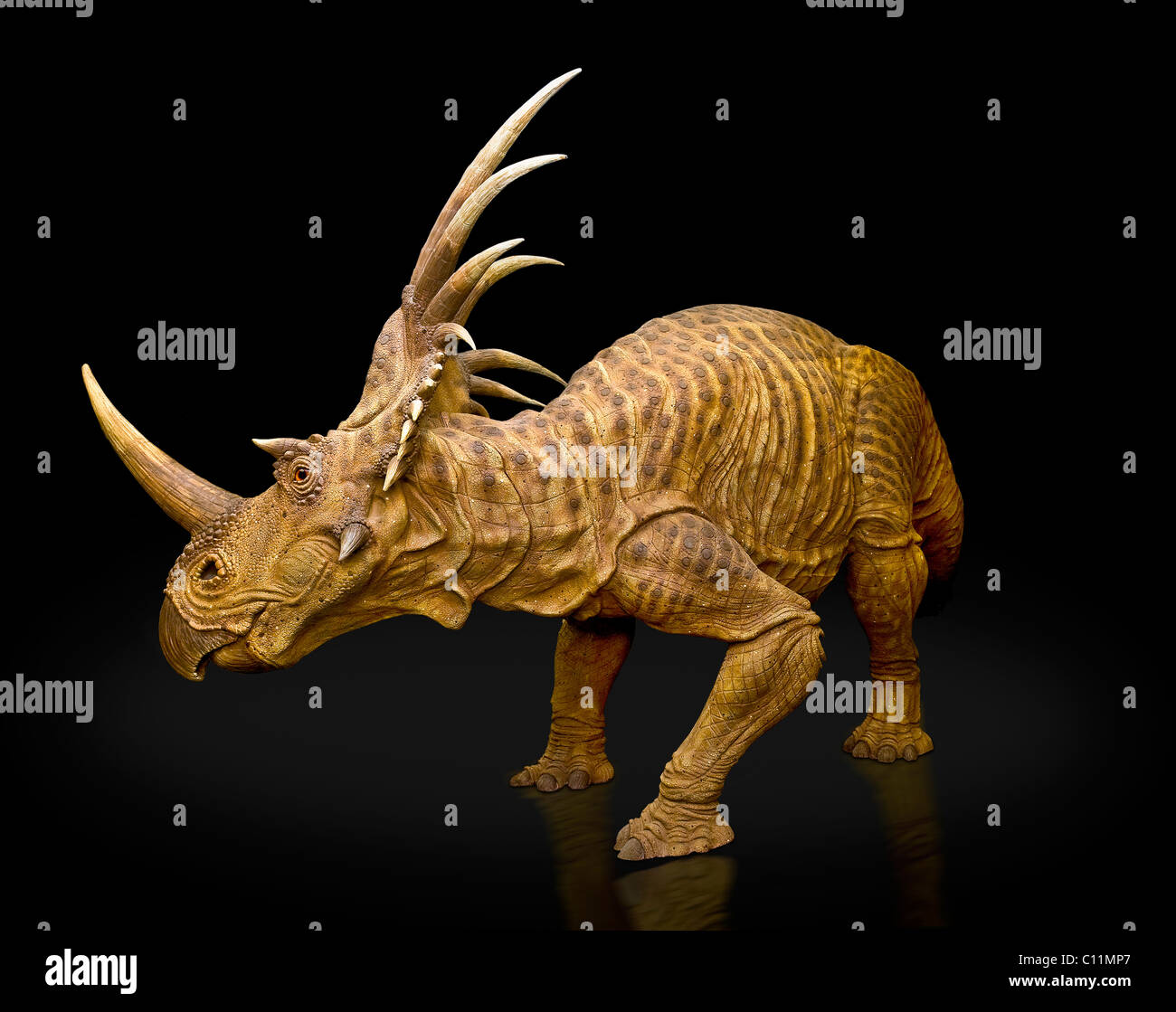 Mesozoic era Fotos und Bildmaterial in hoher Auflösung Alamy