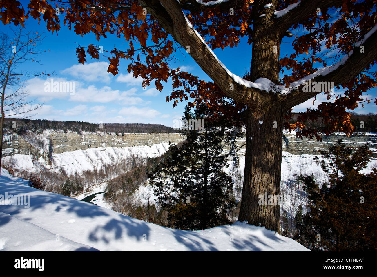 Letchworth State Park Kastilien New York USA im winter Stockfoto