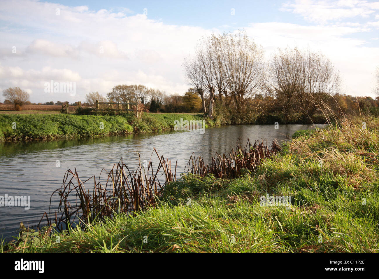 Grantchester Wiesen Stockfoto