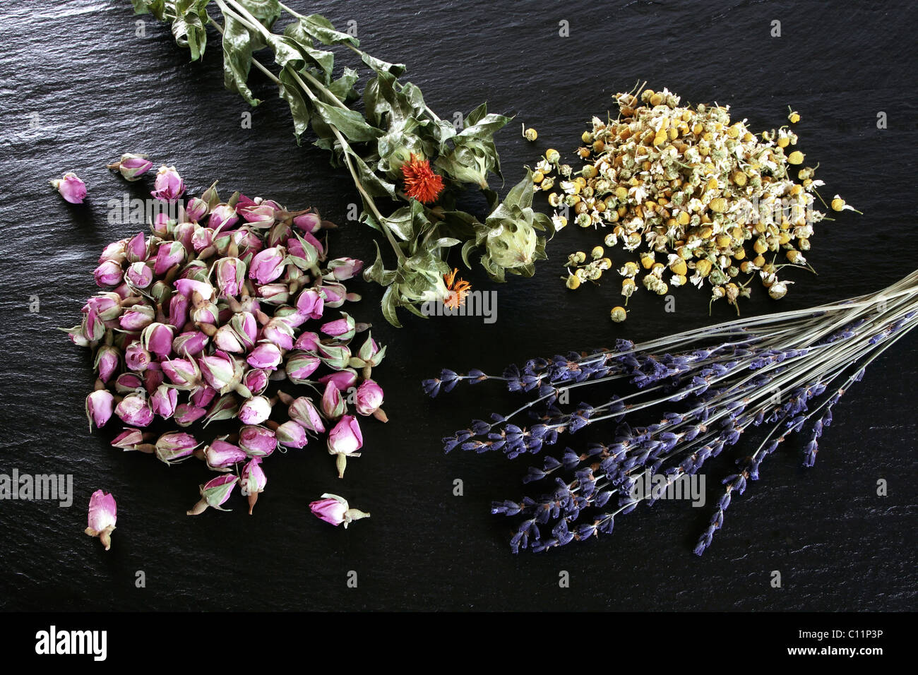 Getrocknete Blumen, Lavendel (Lavandula Angustifolia), Distelöl (Carthamus), stiegen die Knospen (Rosa) und Kamille (Matricaria Chamomilla) Stockfoto
