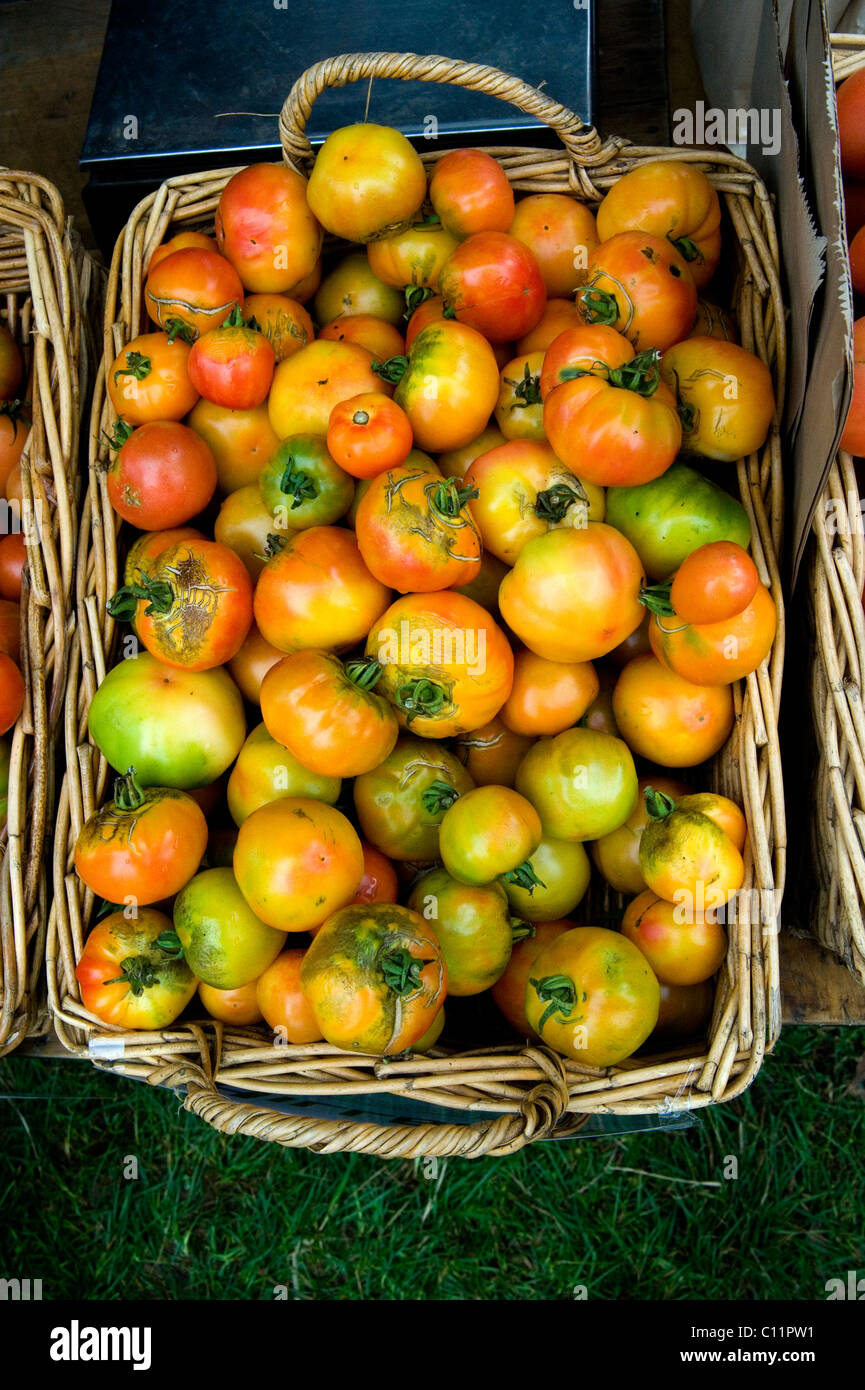 Hinterwäldler Arten Bio Tomaten Stockfoto
