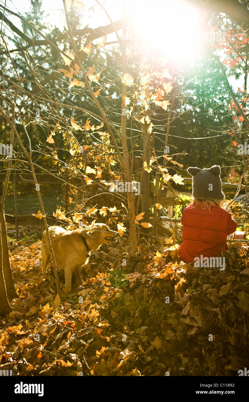 Ein Junge und sein Hund im Herbst. Stockfoto