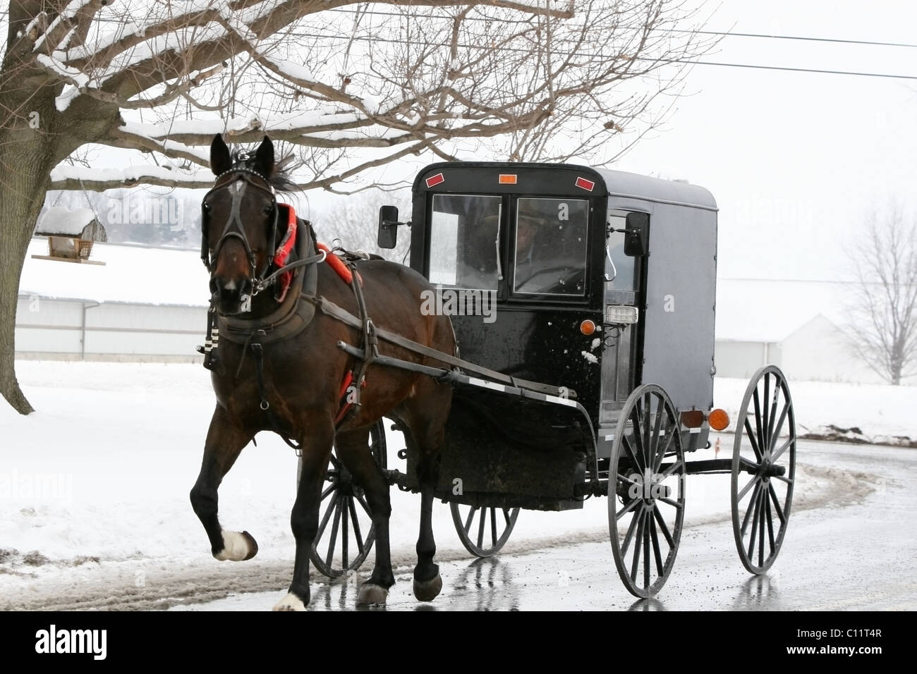 Winterdienst mit amischen Pferd und Buggy im Lancaster County, Pennsylvania  Stockfotografie - Alamy