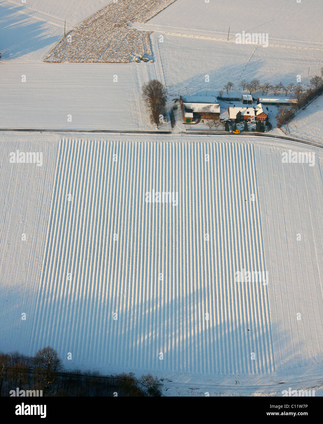 Luftbild, Schnee, Lehmhegge, pflegt, Ruhrgebiet und Umgebung, Nordrhein-Westfalen, Deutschland, Europa Stockfoto