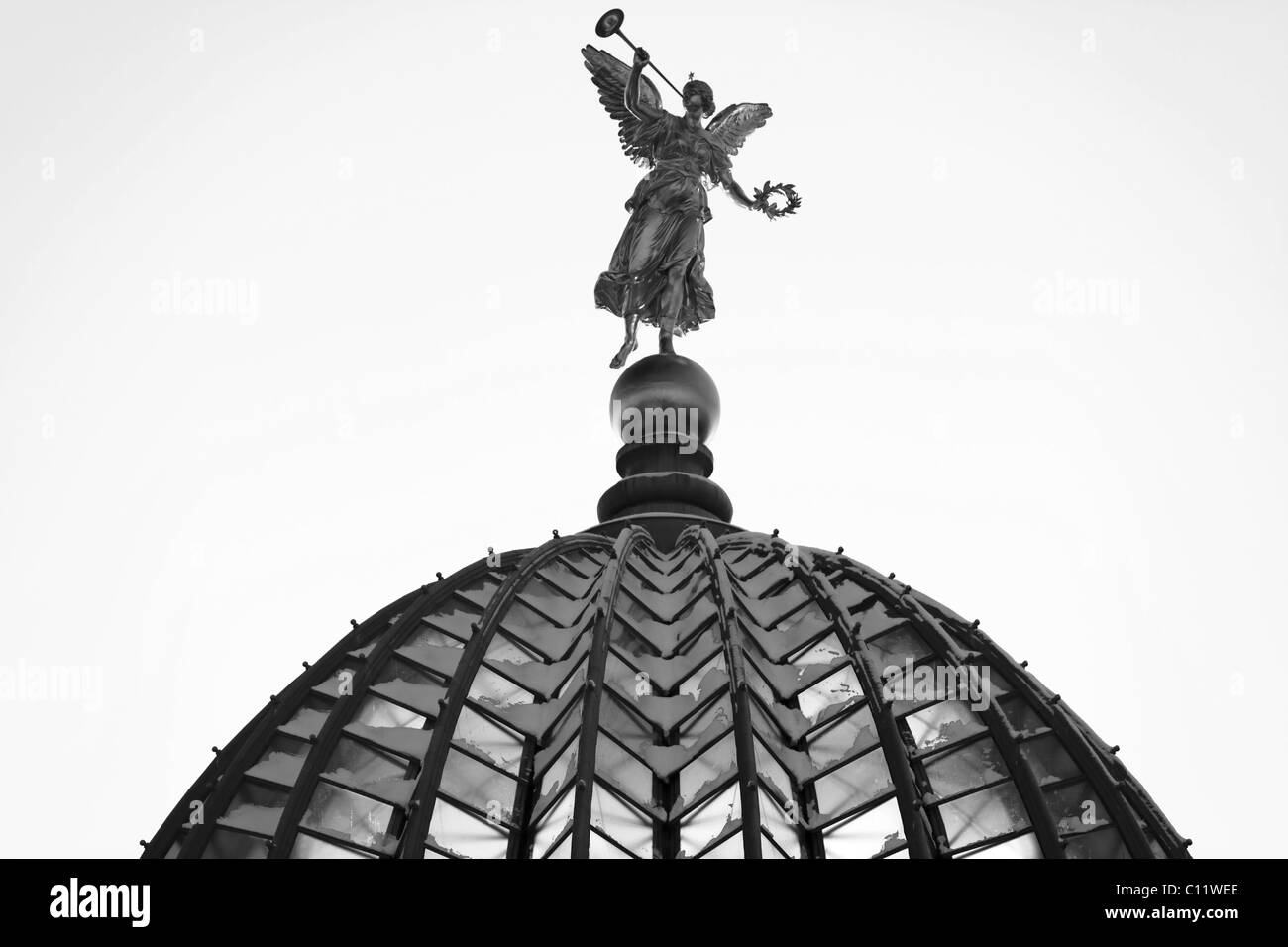Kuppel der Akademie der bildenden Künste, auch genannt "Zitronenpresse", schwarz / weiß, Dresden, Sachsen, Deutschland, Europa Stockfoto