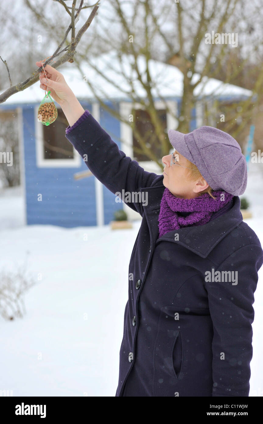 Frau eine Tasche von Erdnüssen auf einem Baum als eine Winterfütterung für Vögel hängen Stockfoto