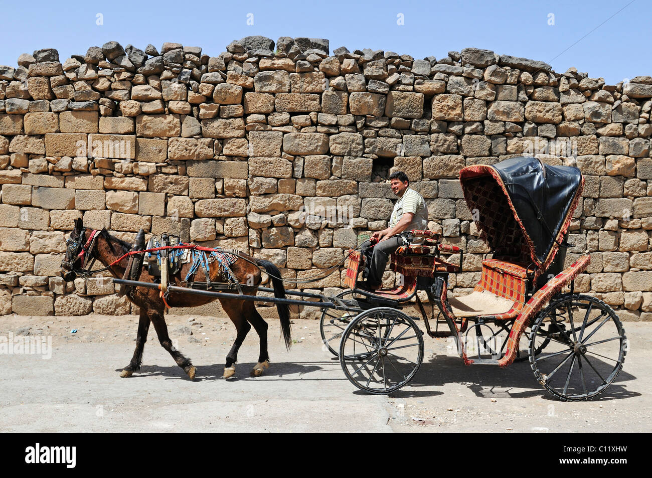 Mann auf Pferdekutsche für Touristen, Ausgrabungen in den Ruinen von Bosra, Syrien, Asien Stockfoto