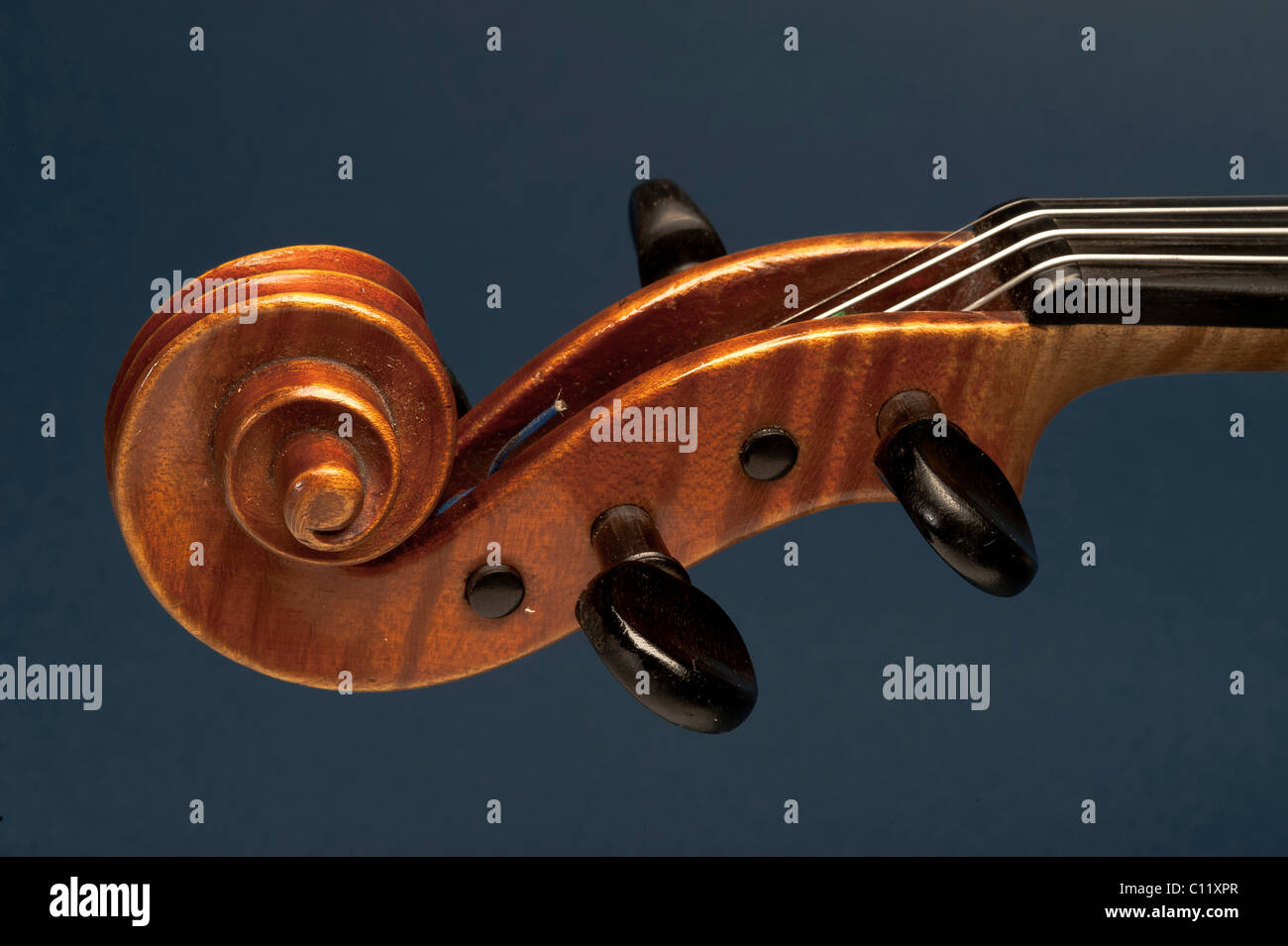 Scroll mit einem Wirbel, Violine Stockfoto