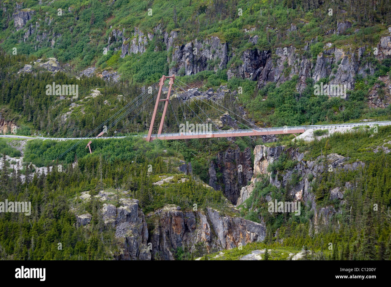 Modernen Hängebrücke überqueren Canyon, South Klondike Highway, White Pass, Verbindung von Skagway, Alaska, USA, Britisch-Kolumbien Stockfoto