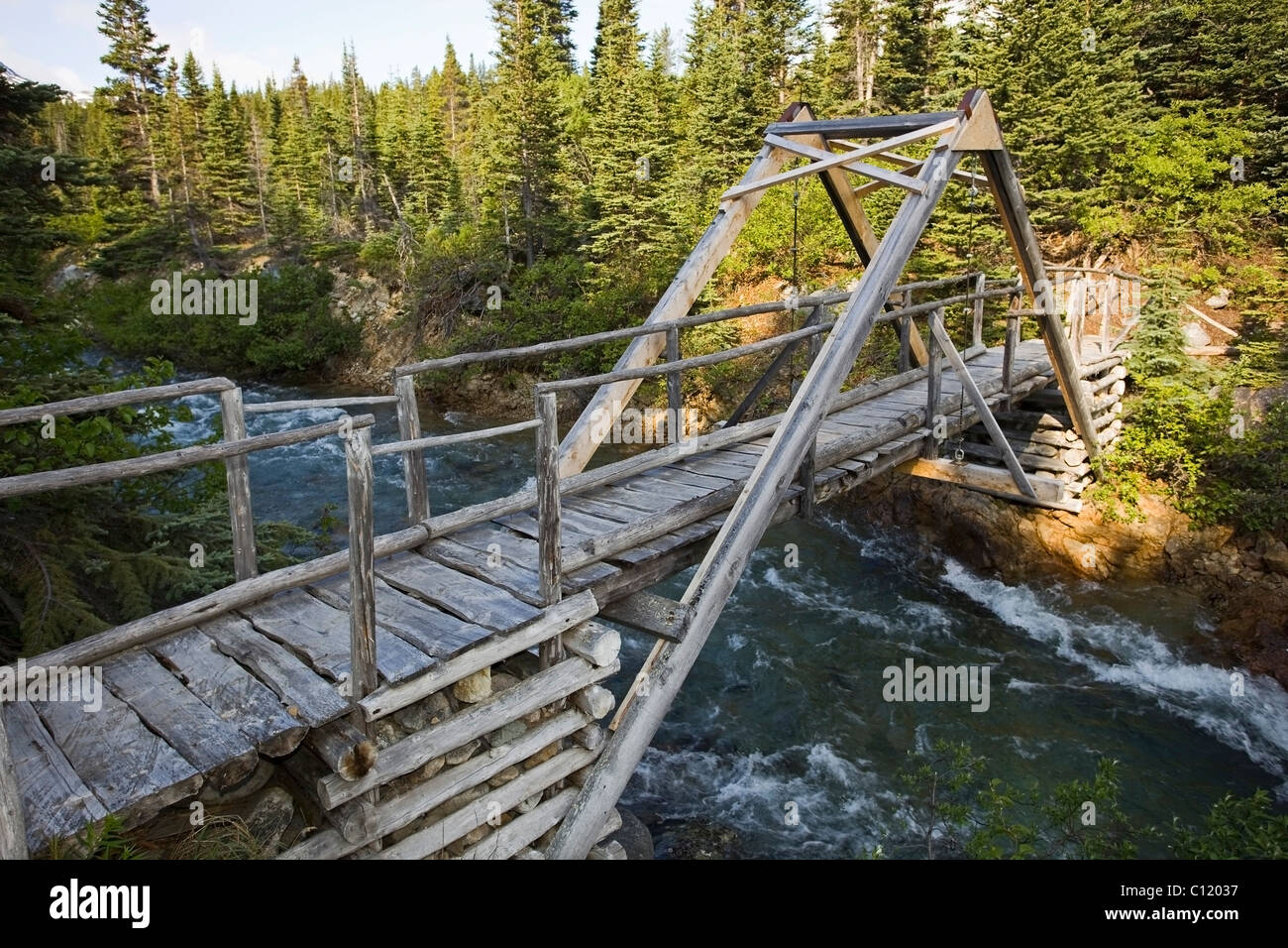 Hölzerne Fußgängerbrücke, Canyon, Chilkoot Trail, Chilkoot Pass, Yukon Territory, British Columbia, B. C., Kanada Stockfoto
