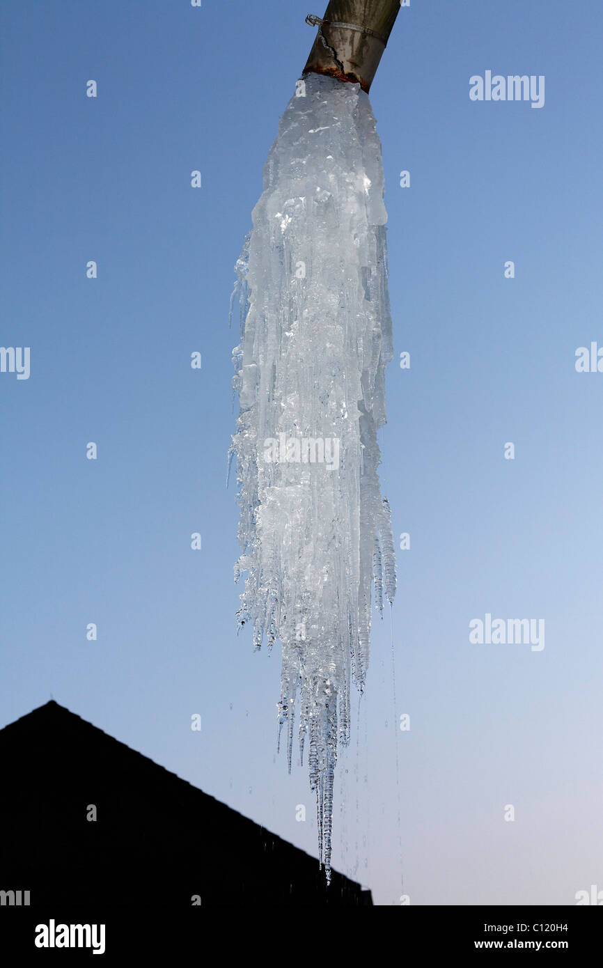 Riesige Eiszapfen hängen von einer Wasser-Abflussrohr, Ruhr und Umgebung, Nordrhein-Westfalen, Deutschland, Europa Stockfoto