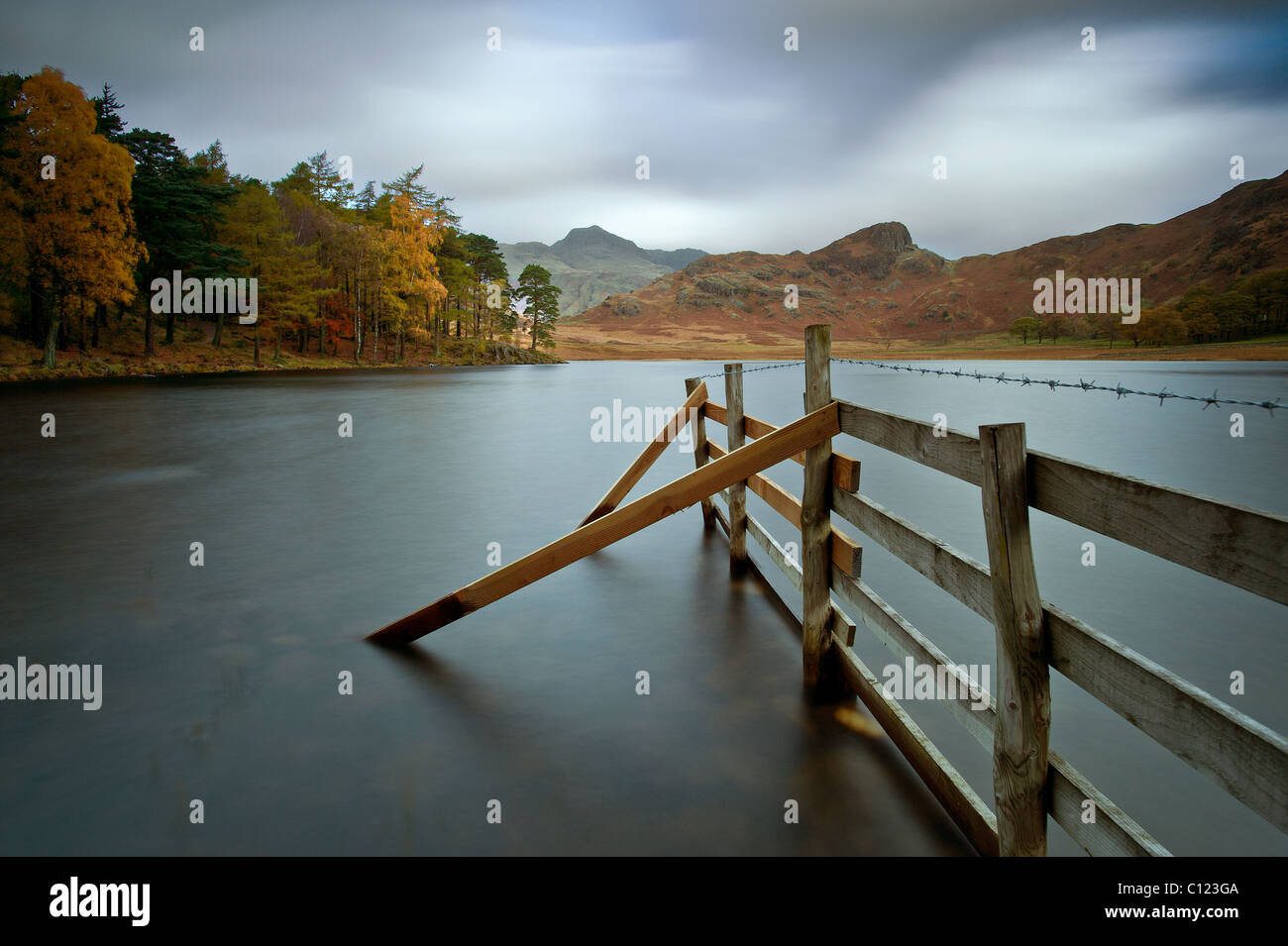 Blea Tarn mit Langdale Pikes in Ferne Stockfoto