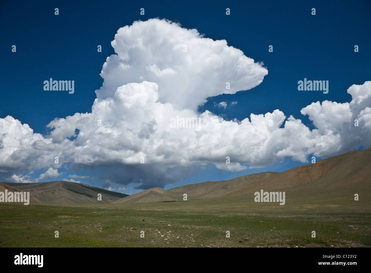 Steppen Mongolei Zentralasien Stockfoto