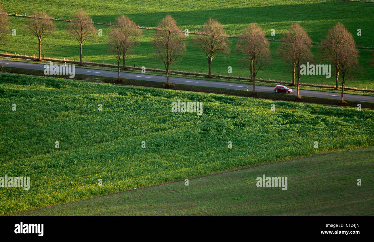 Antenne zu sehen, Parkway, pflegt, Münsterland Region, North Rhine-Westphalia, Deutschland, Europa Stockfoto