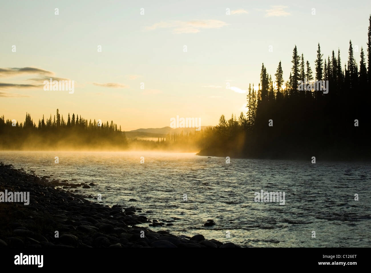 Morgen, Nebel, Nebel, Sonnenuntergang, Silhouette der Bäume, oben Liard River, Yukon Territorium, Kanada Stockfoto