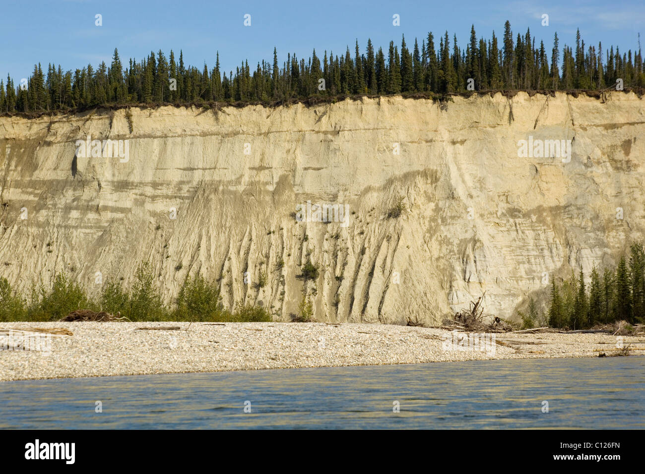 Formende Flusslandschaft, Erosion in weichem Sandstein, hoch geschnittene Bank, Klippe, oben Liard River, Yukon Territorium, Kanada Stockfoto
