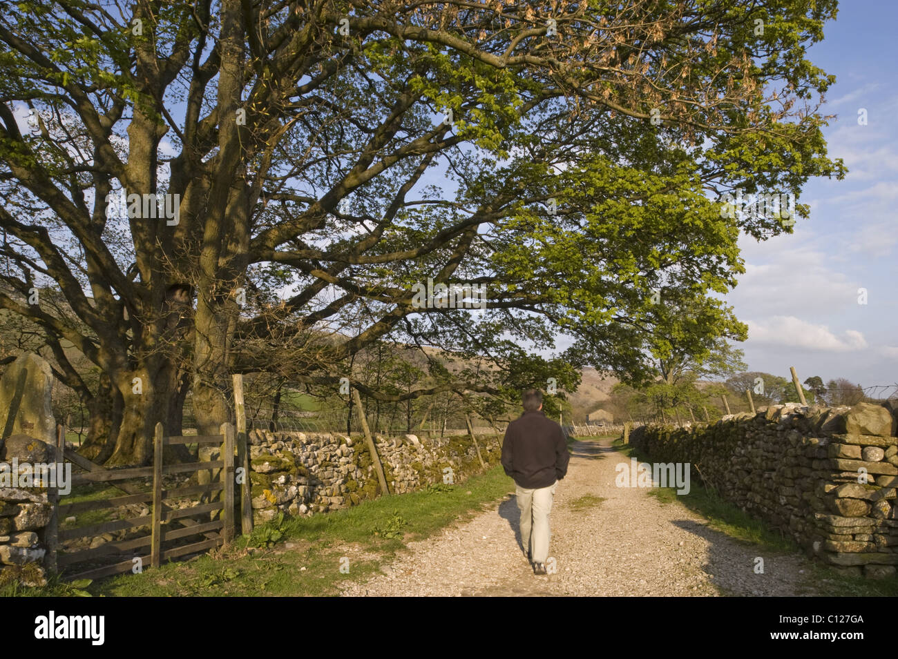 Ein Mann schlendert auf einer kurvenreichen Schotterpiste, Arncliffe, Littondale. Stockfoto